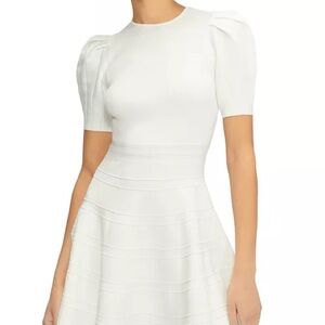 Ted Baker Puffed Sleeve Engineered Skirt Dress